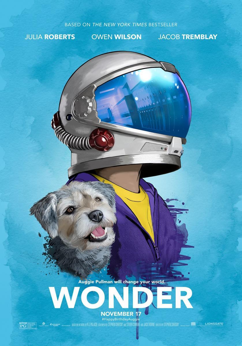 Póster de la película Wonder